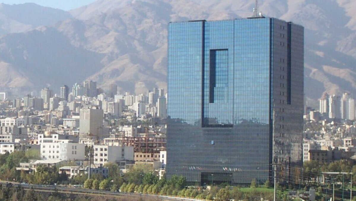 چالش‌های بزرگ تخصصی‌سازی بانک‌ها/ دولت دیگر نمی‌تواند به‌راحتی به منابع بانکیدست‌اندازی کند