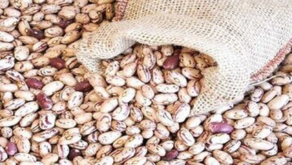 اصلاح قیمت لوبیا چیتی /این کالا را گران‌تر از این رقم نخرید