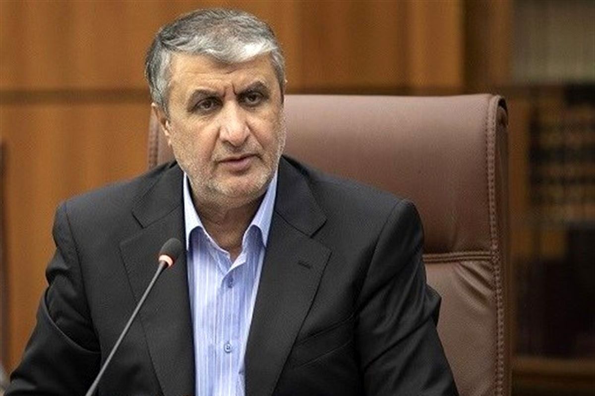 رئیس سازمان انرژی اتمی: ایران فعالیت پنهانی هسته‌ای ندارد +فیلم