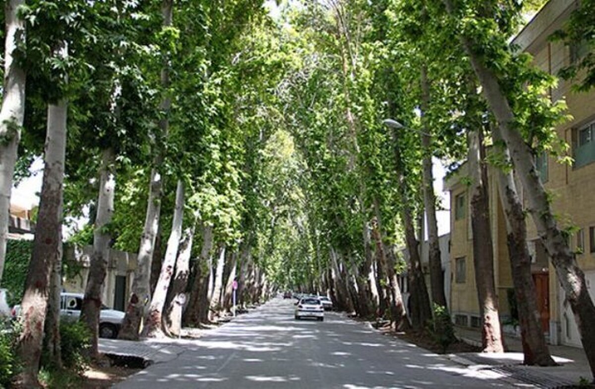 درختان و باغهای نصف‌جهان حقابه‌داران کهن زاینده‌رود هستند/ ضرورت تخصیص ۵۰ میلیونمترمکعبی آب
