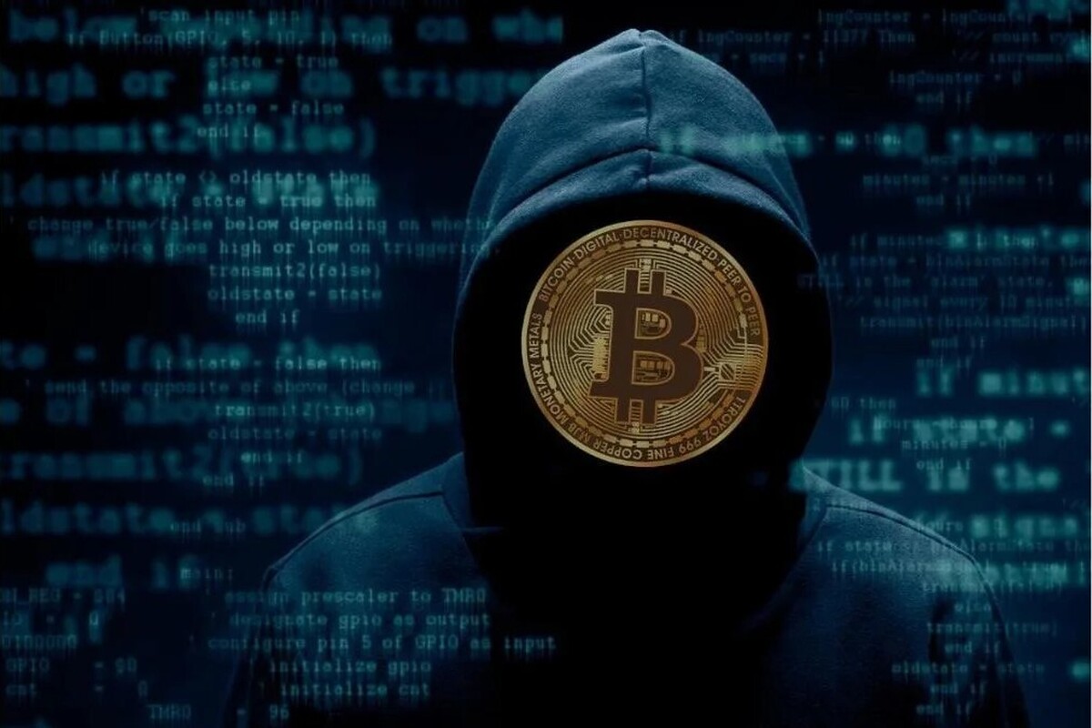 کلاهبرداری دو میلیون دلاری / هنرمند بازنشسته قربانی پلتفرم جعلی صرافی کوین‌ بیسشد