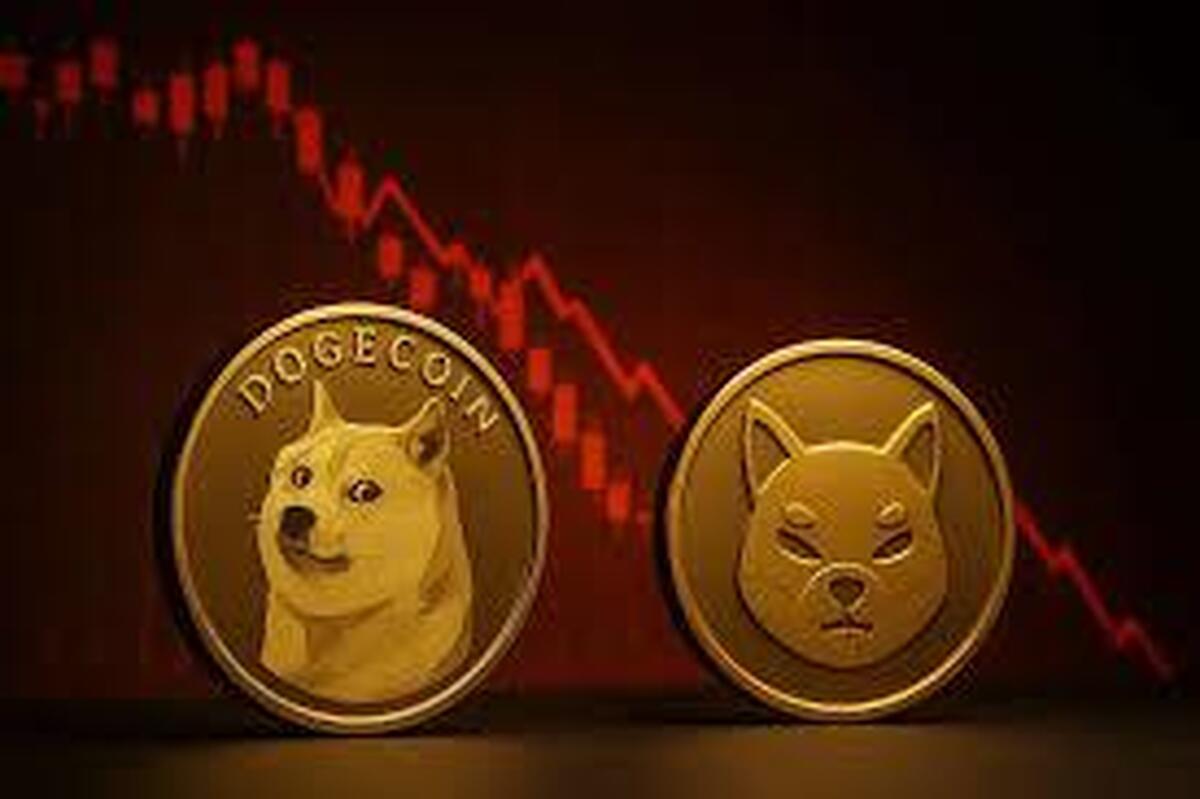 خبر بد از میم‌کوین‌ها؛ دوج‌کوین و شیبا در مسیر نزولی+ جزئیات