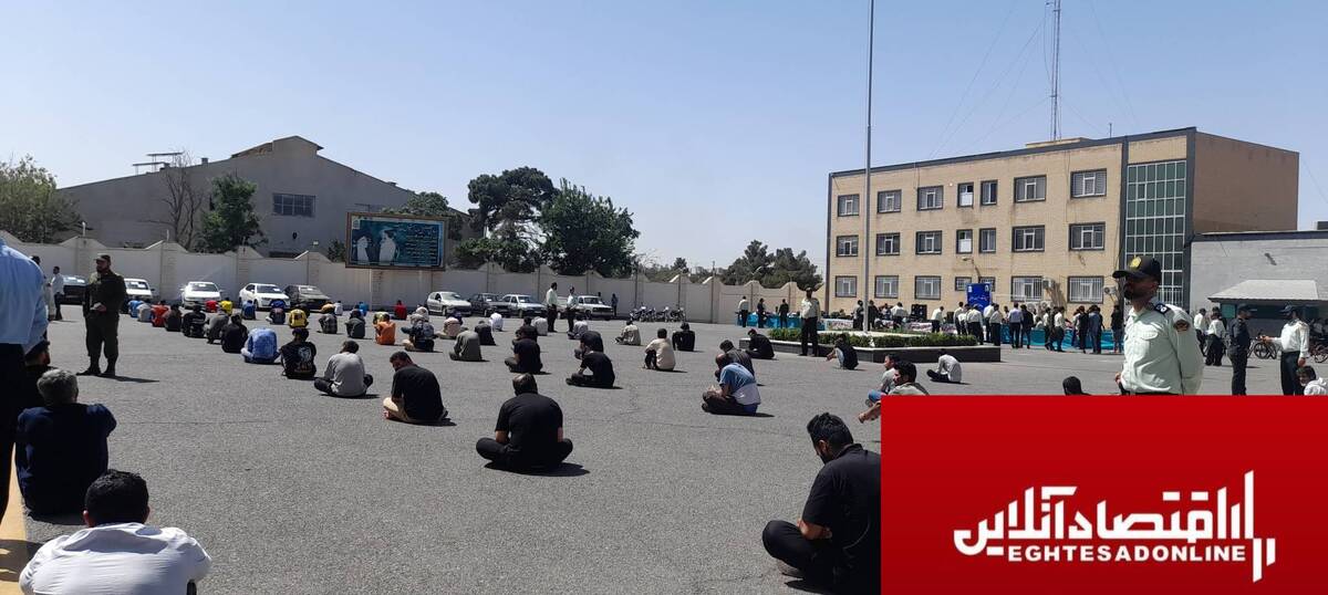 انهدام ۳۳ باند و دستگیری ۲۶۳ سارق/کاهش ۱۸ درصدی سرقت‌ها در البرز