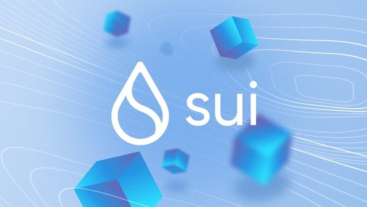 ارز سویی «SUI» در دوراهی / یک تحلیلگر از آینده این ارز می گوید