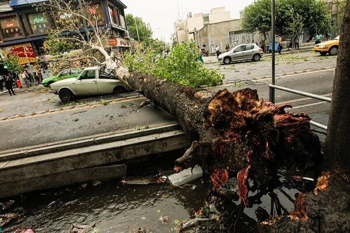 تهران در آستانه طوفان لحظه‌ای؛ بادهای شدید تا ۲۳ متر بر ثانیه