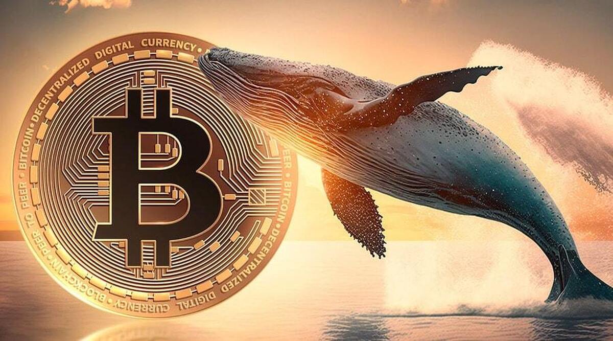 نهنگ جنجالی بیت‌کوین دوباره وارد بازی شد؛ این‌بار با پوزیشن شورت ۴۰ برابری!