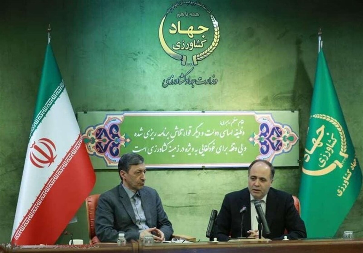 کشاورزان و دامداران بخوانند/ وام ویژه برای جهش تولید گوشت و برنج