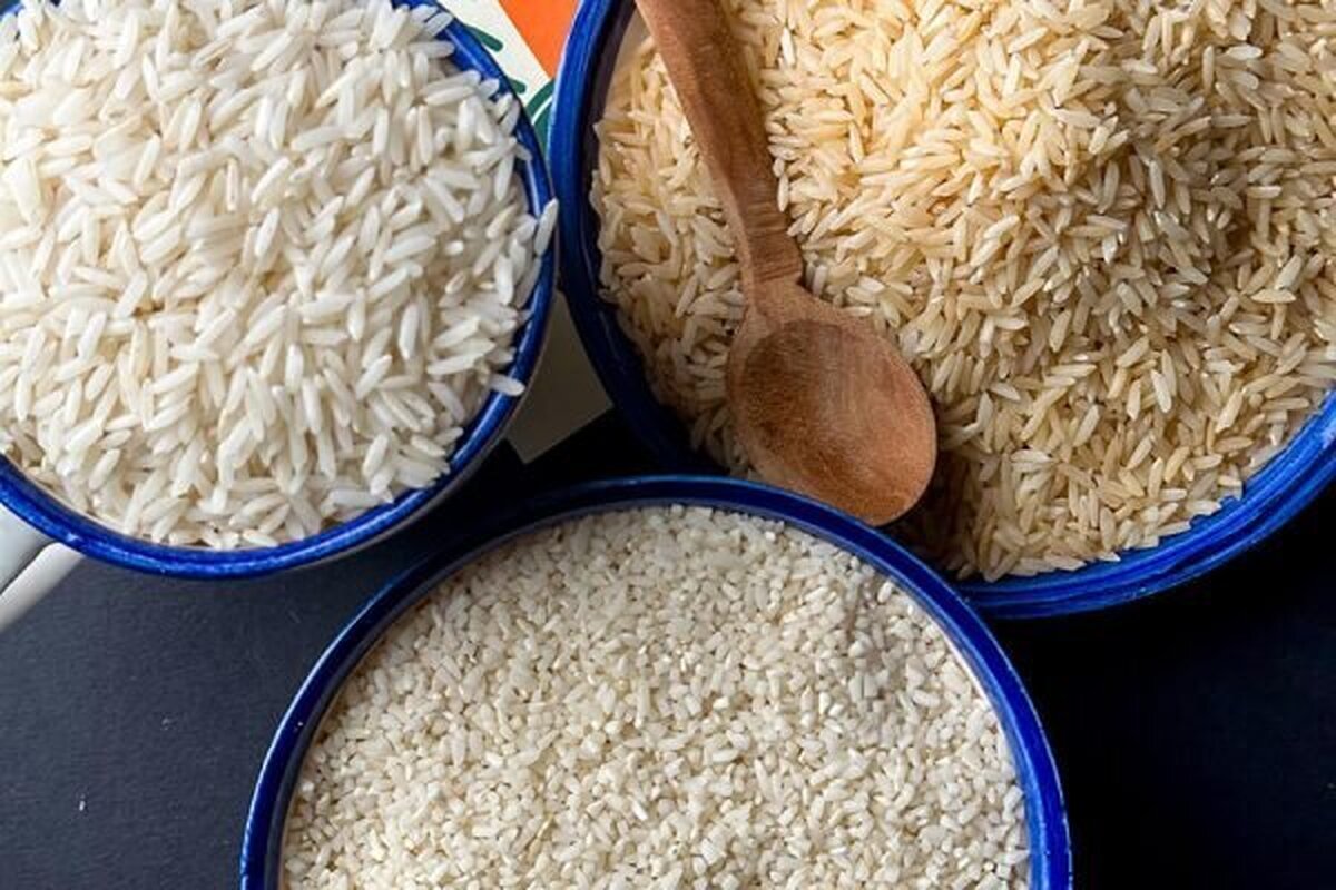 افزایش قیمت برنج در راه است!