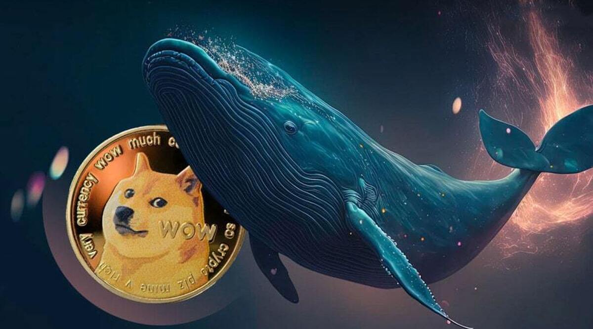 نهنگ‌ها دوج کوین را می‌بلعند؟/ ارسال ۶۰ میلیون دلار DOGE به کوین‌بیس!+ نمودار