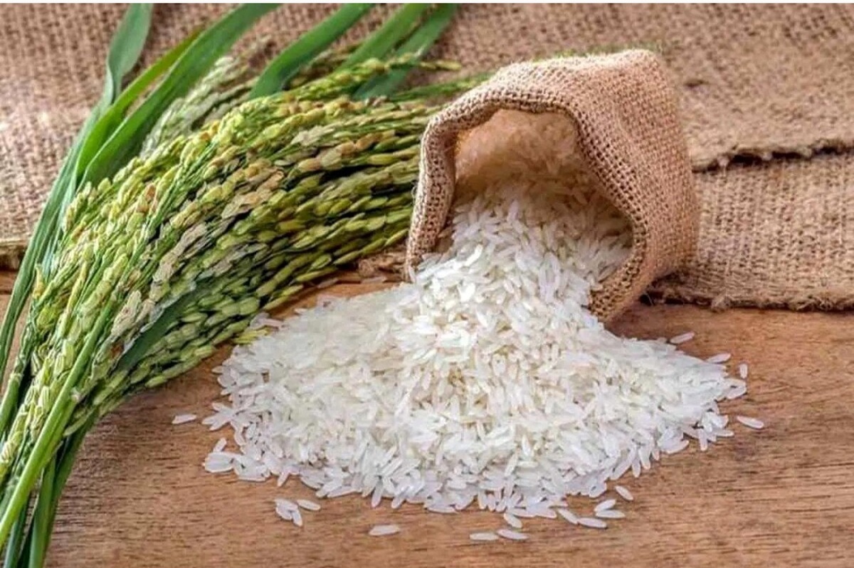 قیمت برنج پاکستانی امروز ۱۲ خرداد ۱۴۰۴/ برنج هاشمی چند شد؟ + جدول