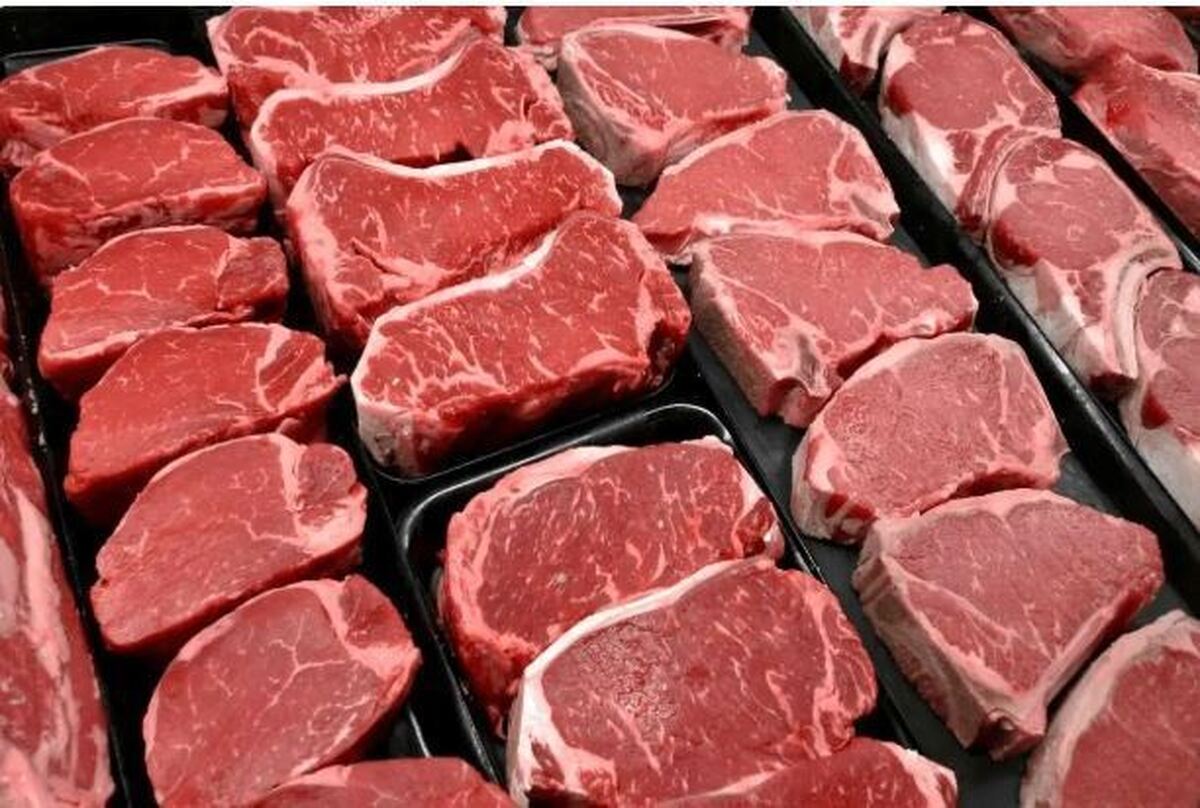 قیمت گوشت قرمز امروز جمعه ۱۶ خرداد ۱۴۰۴ +جدول