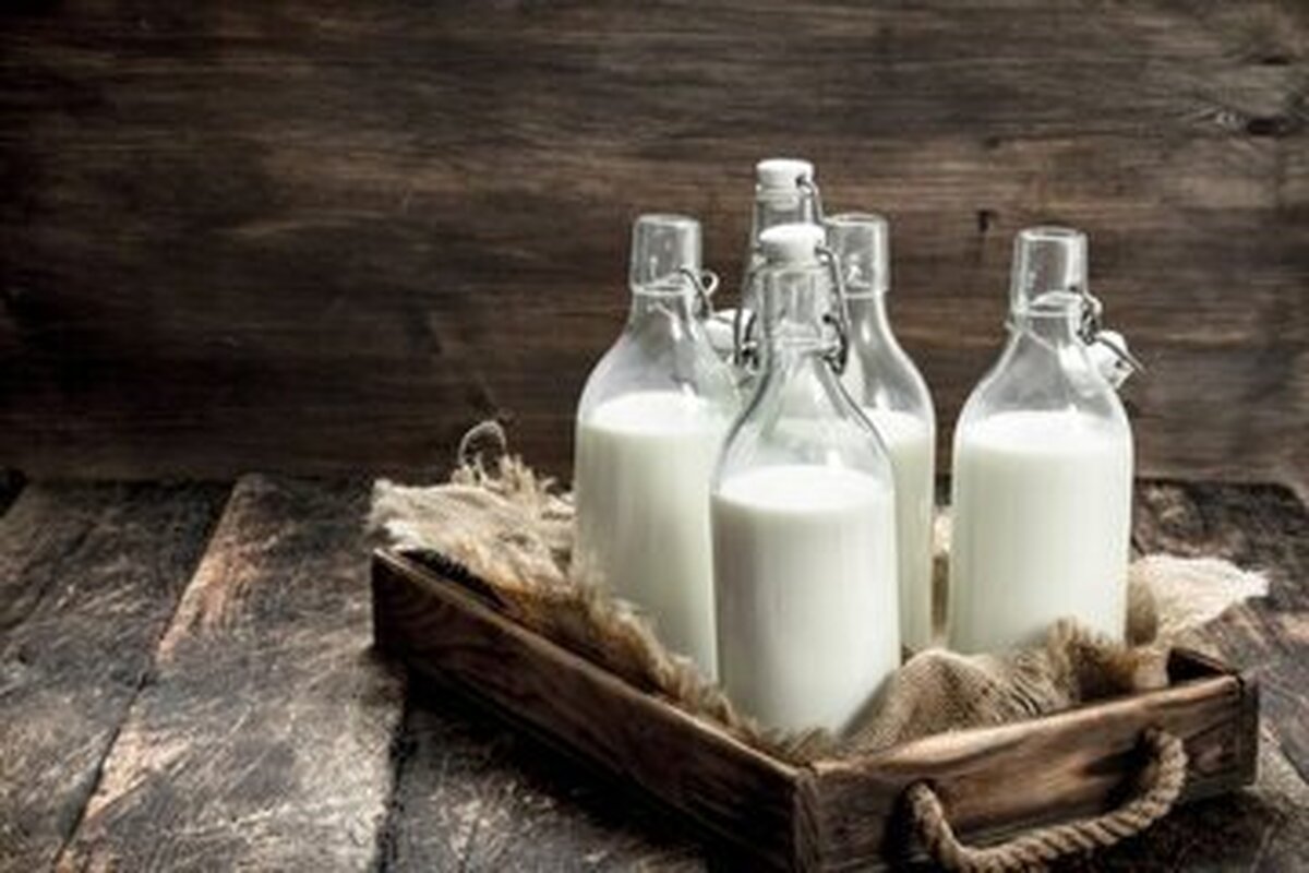 قبل از خواب، شیر گرم بخوریم بهتر است یا سرد؟