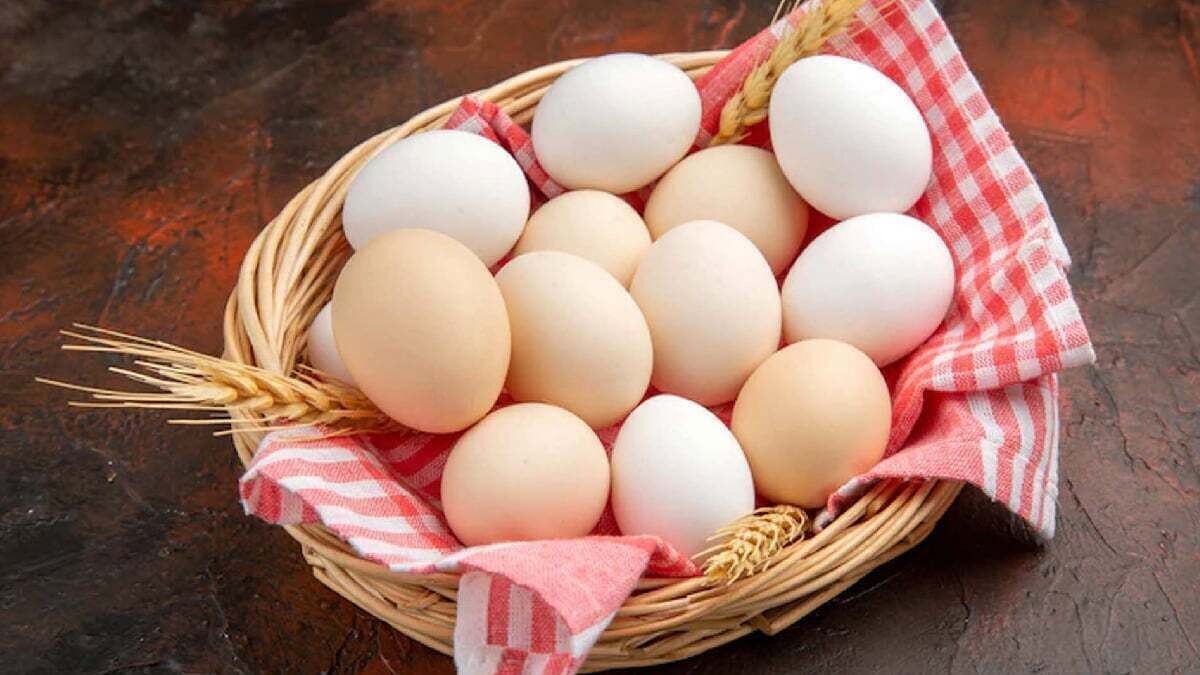قیمت تخم‌مرغ امروز ۲۷ خرداد ۱۴۰۴/ قیمت تخم‌مرغ‌ محلی چند شد؟ + جدول